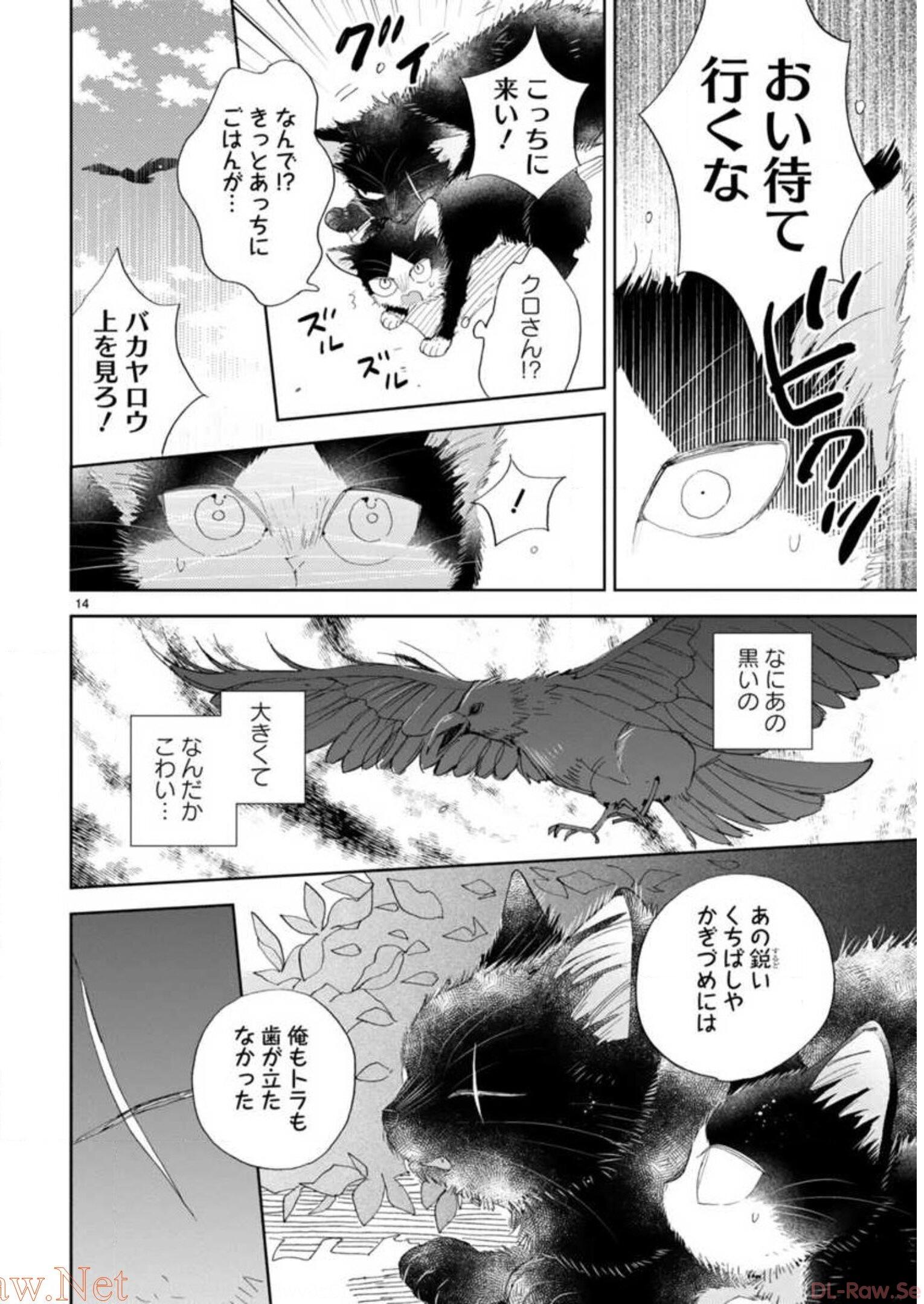 P46