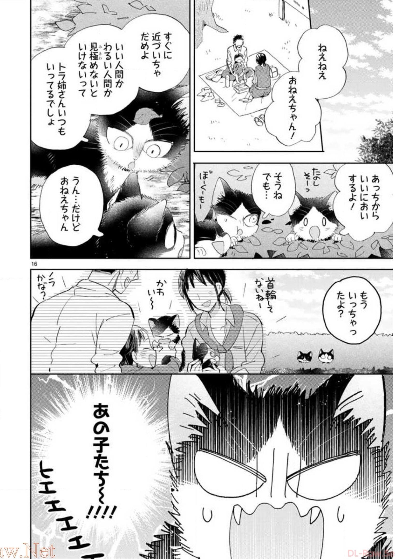 P48