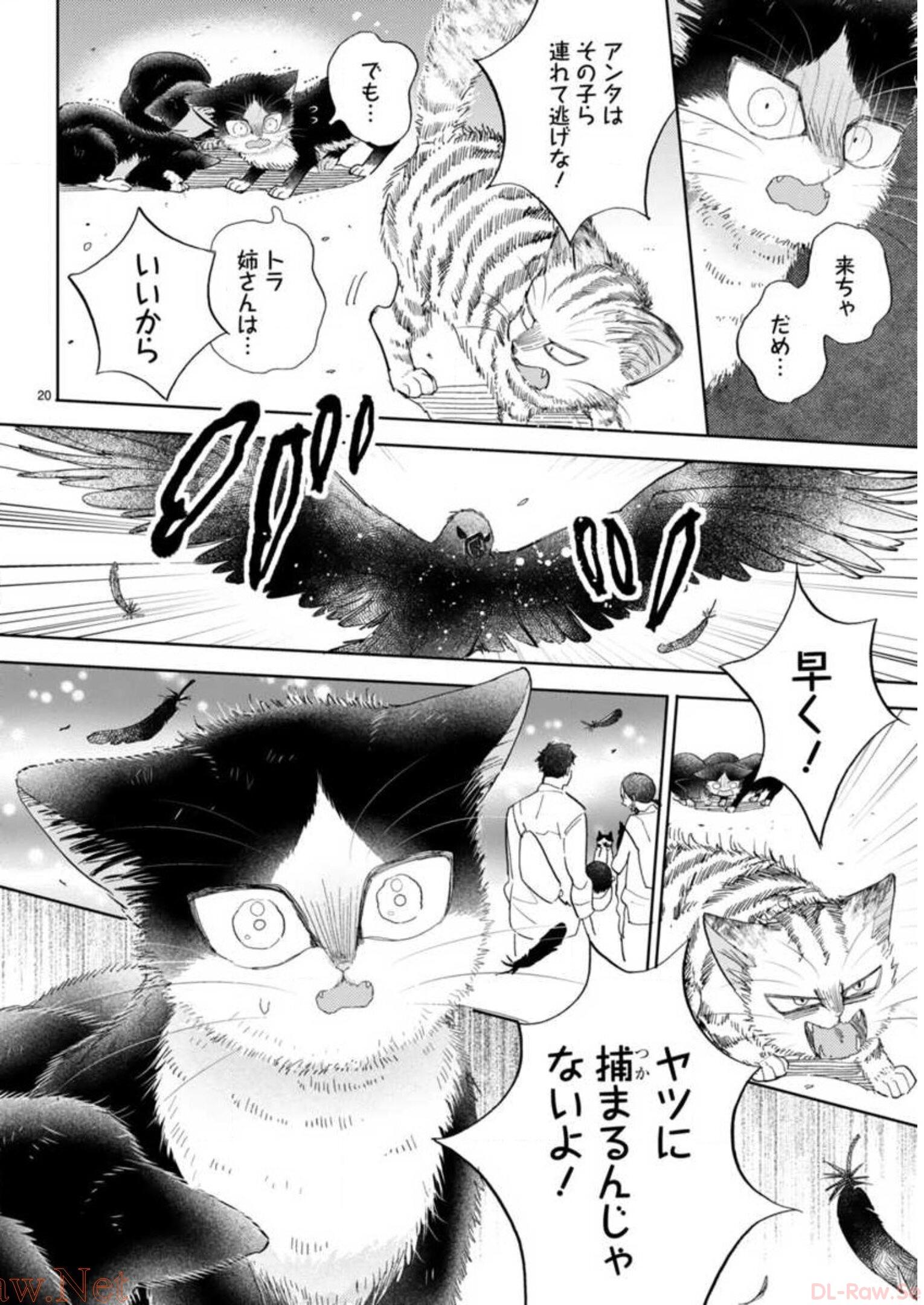 P52