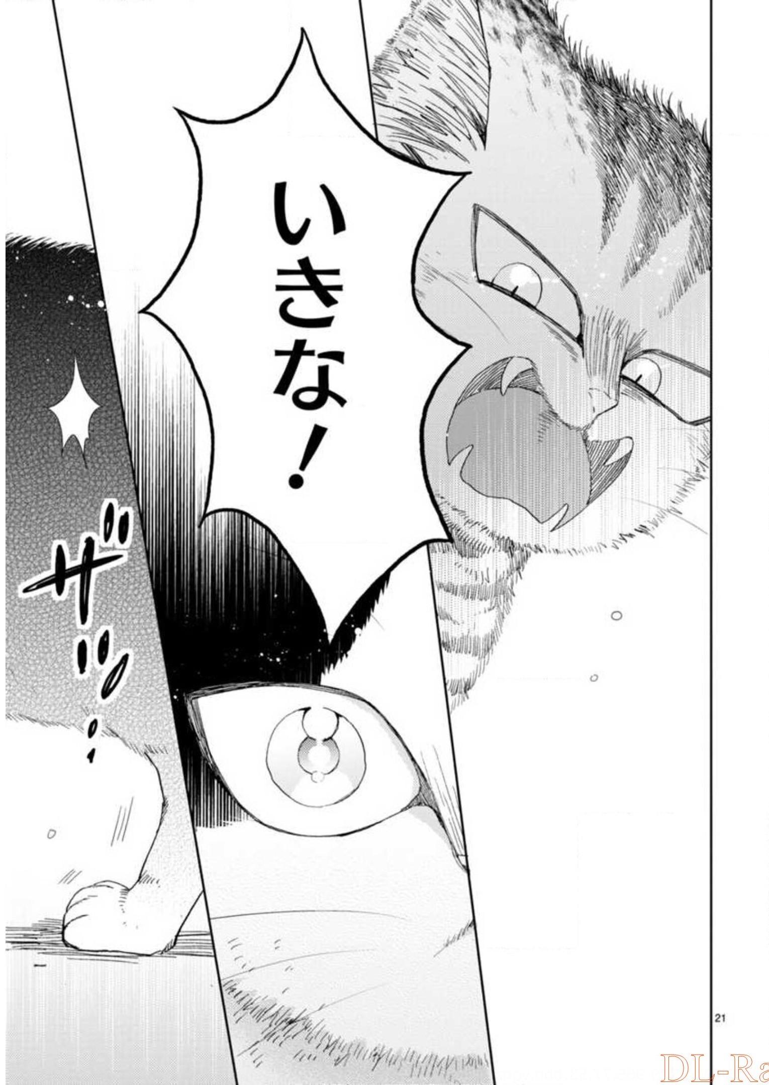 P53
