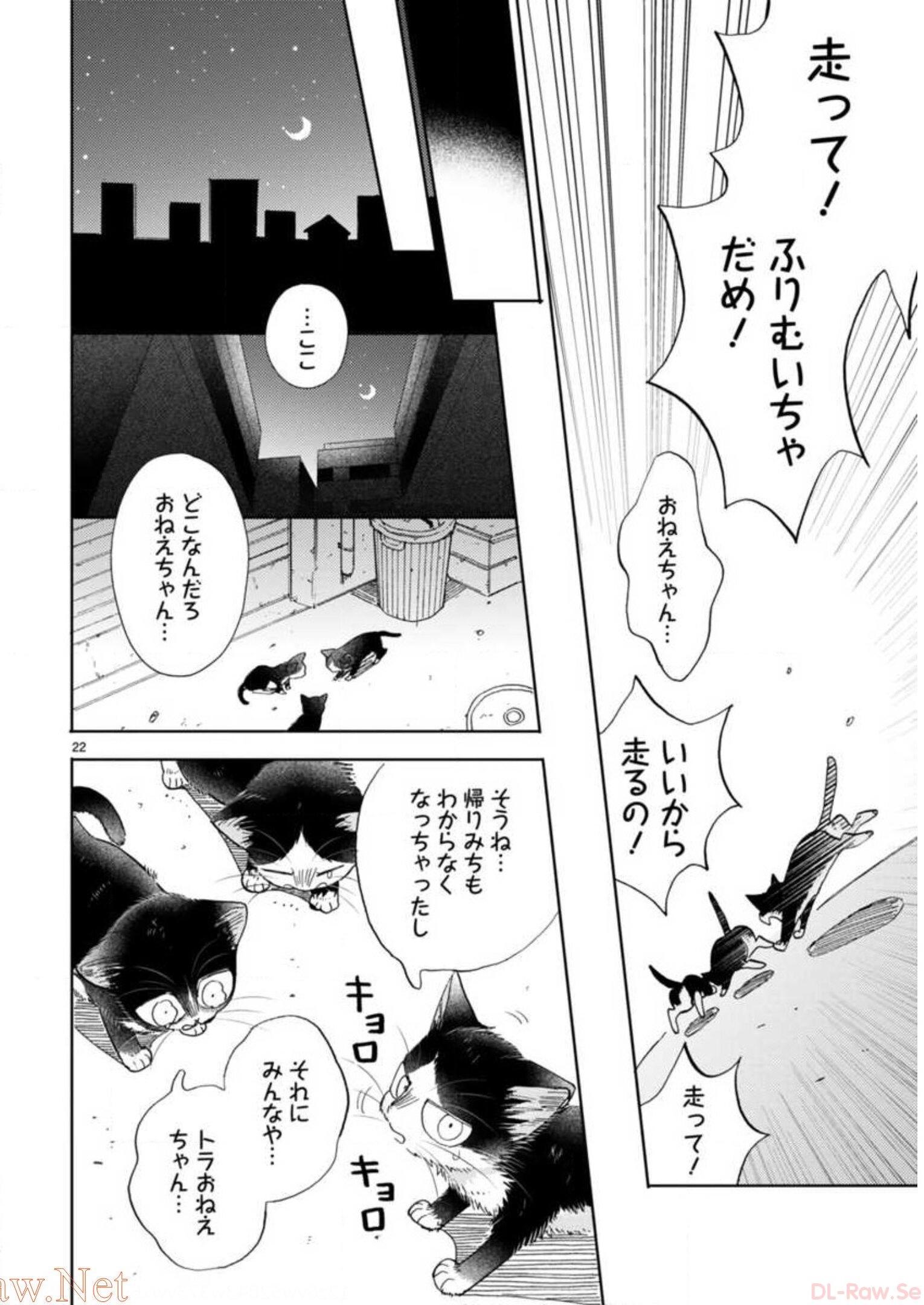 P54