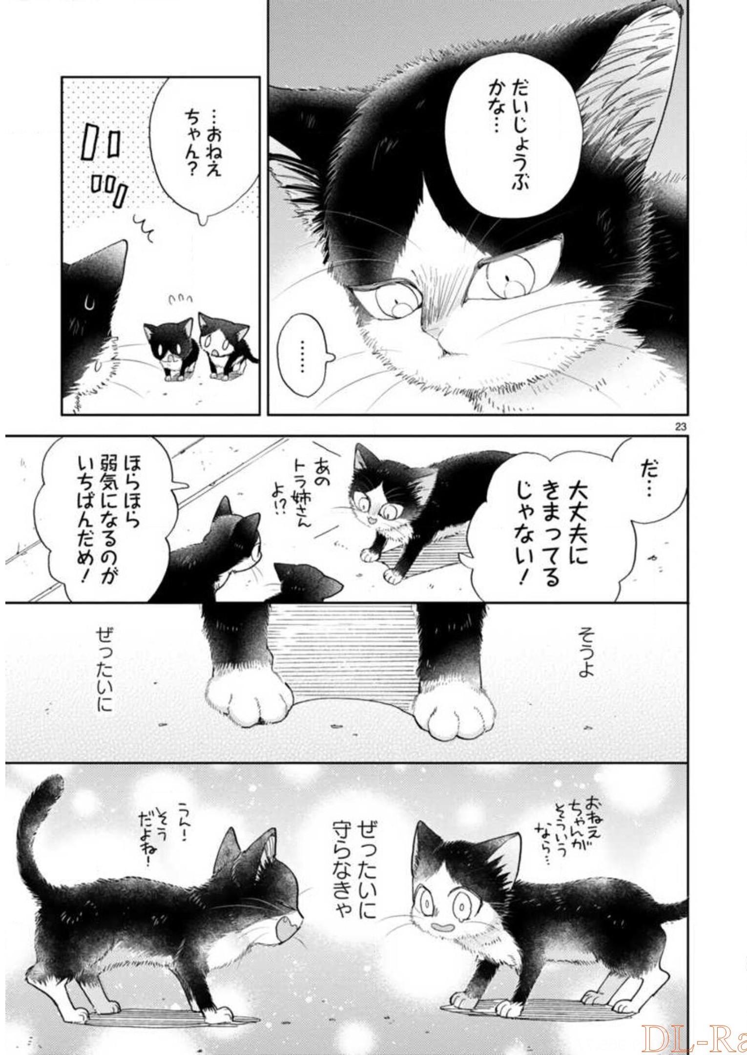 P55