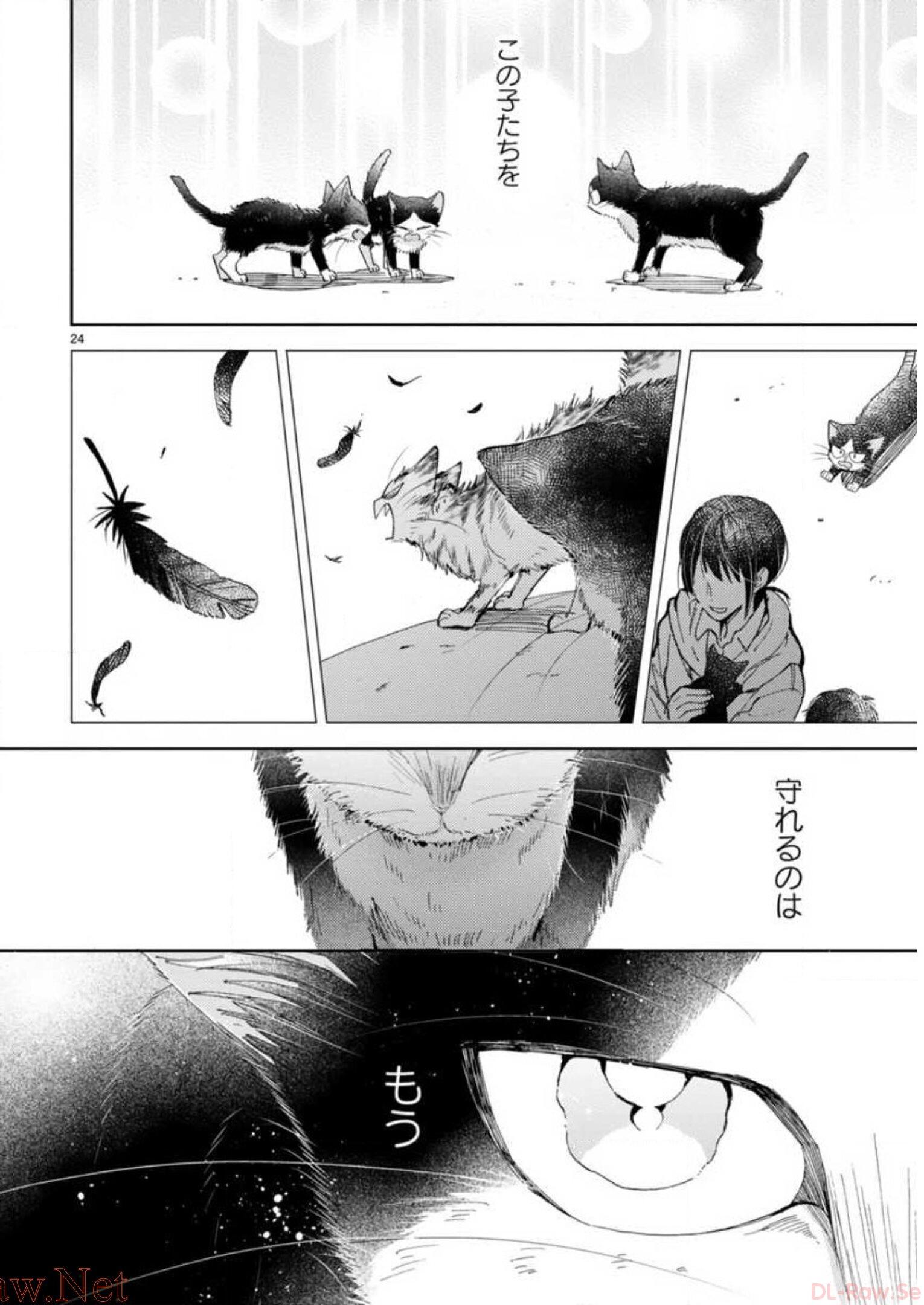 P56