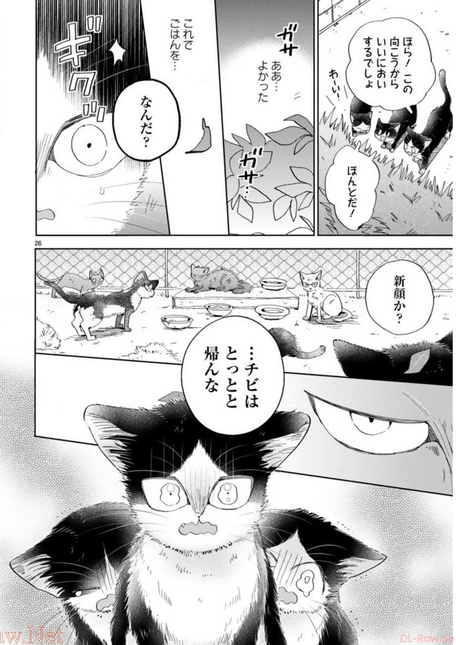 P58