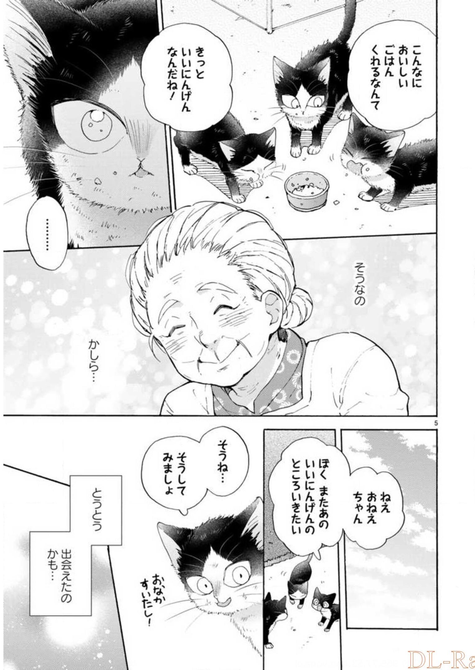 P63