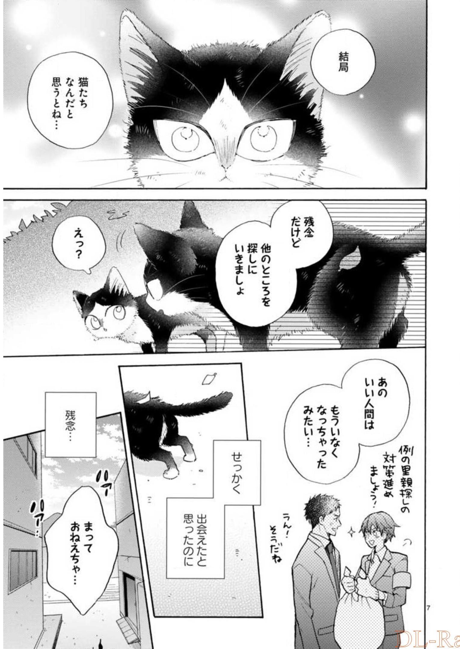 P65
