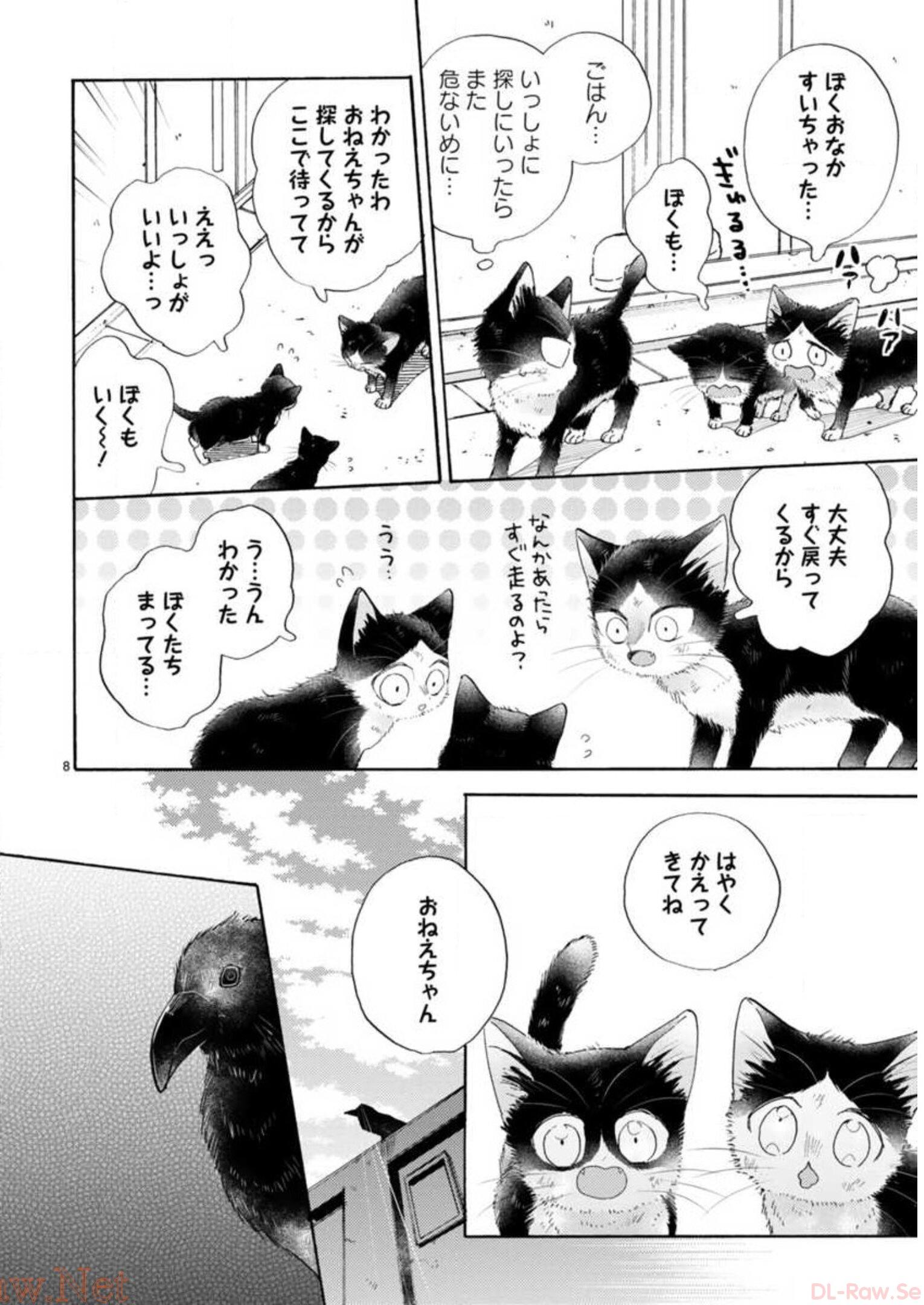 P66