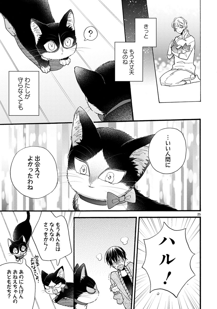 P26