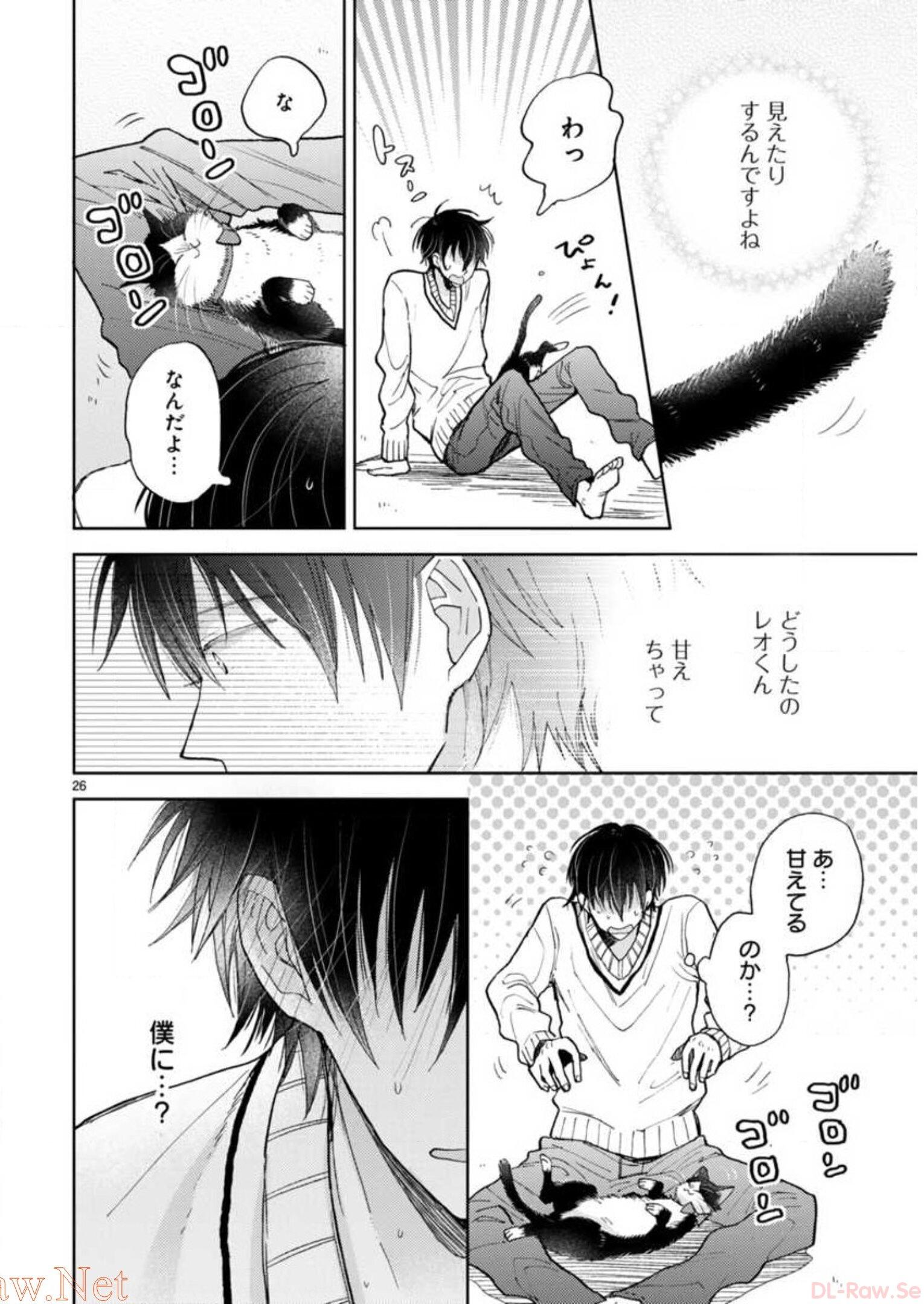 P26