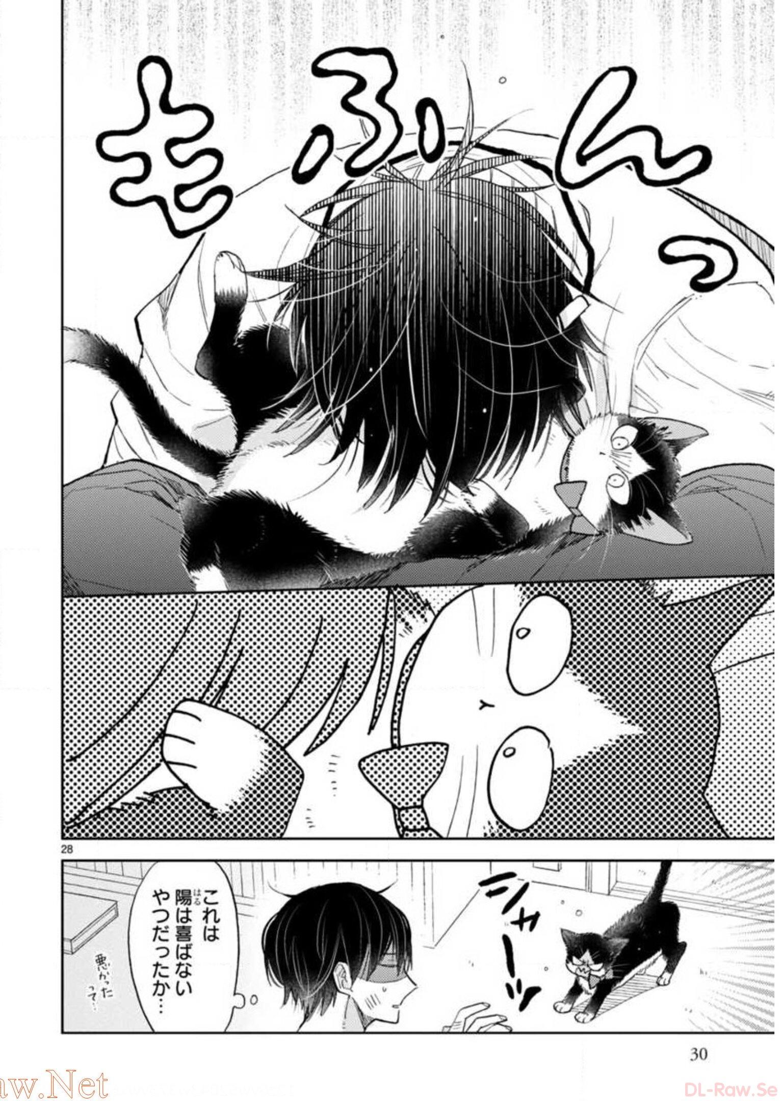 P28