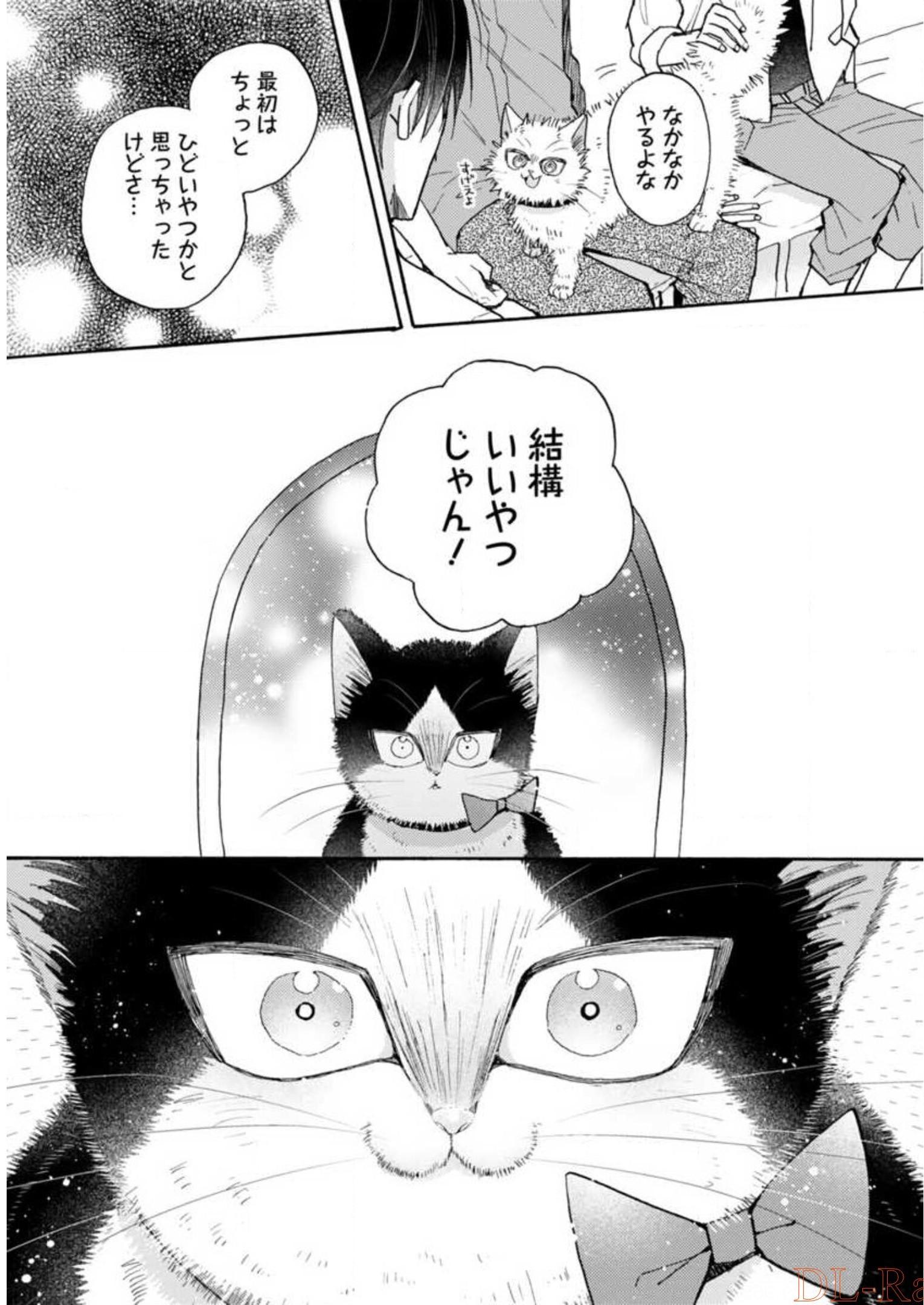 P41