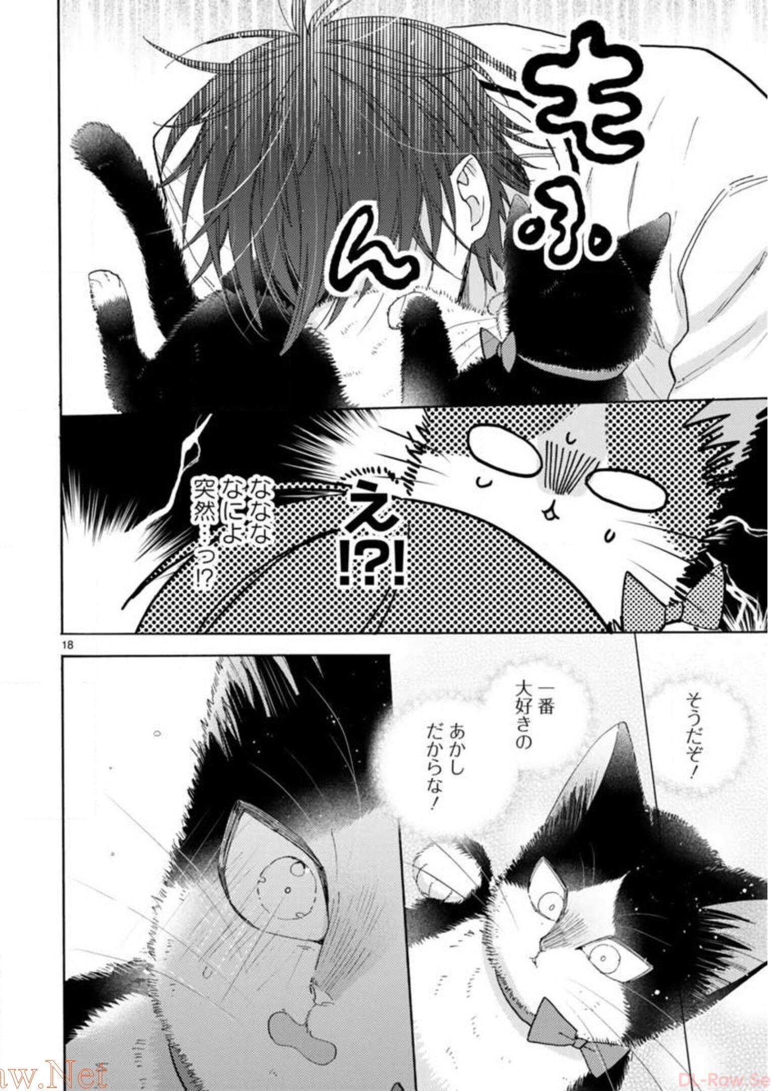 P46