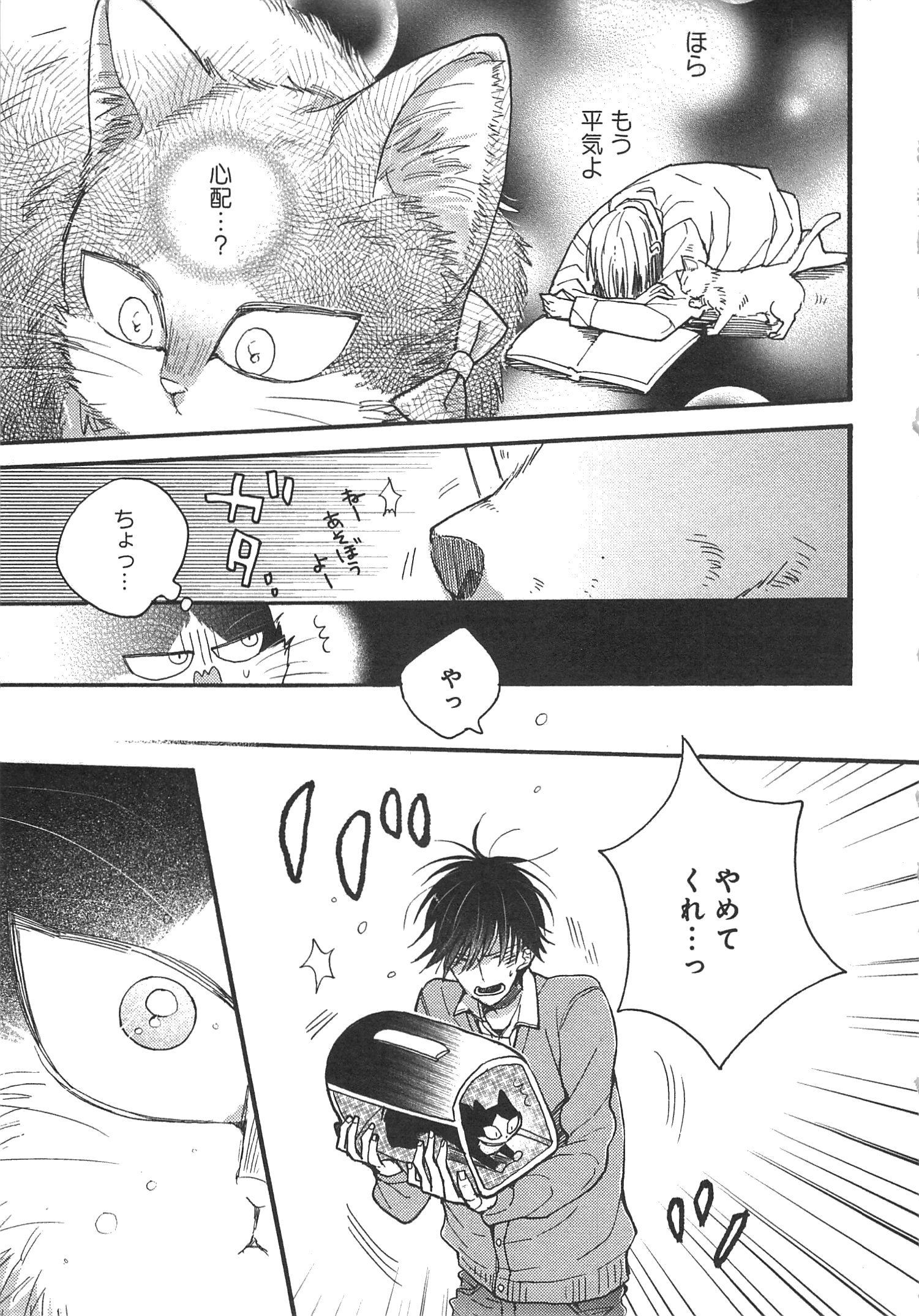 P27