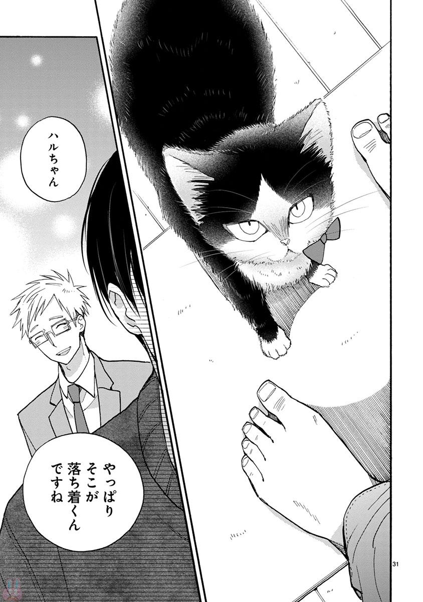 P31