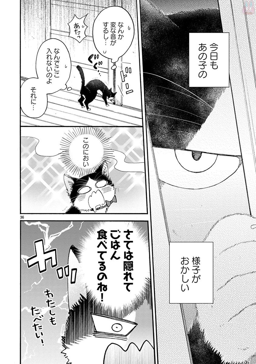 P36