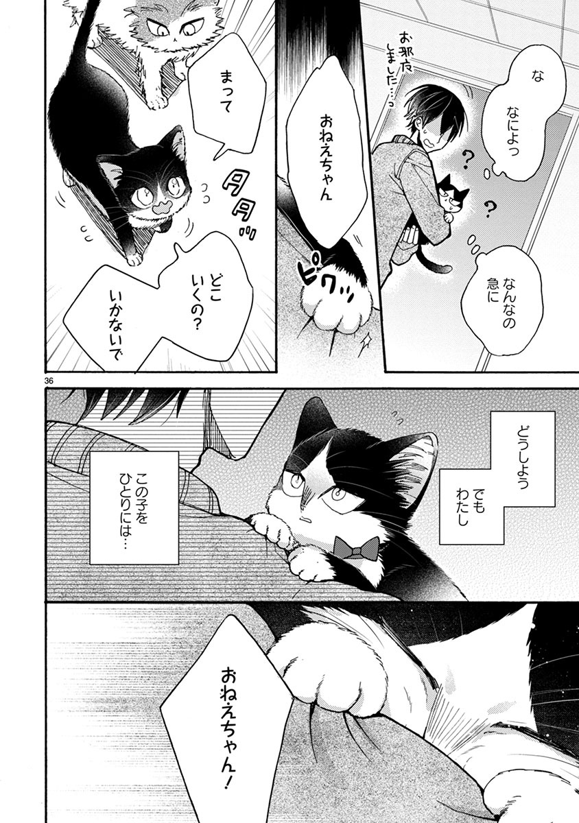 P36