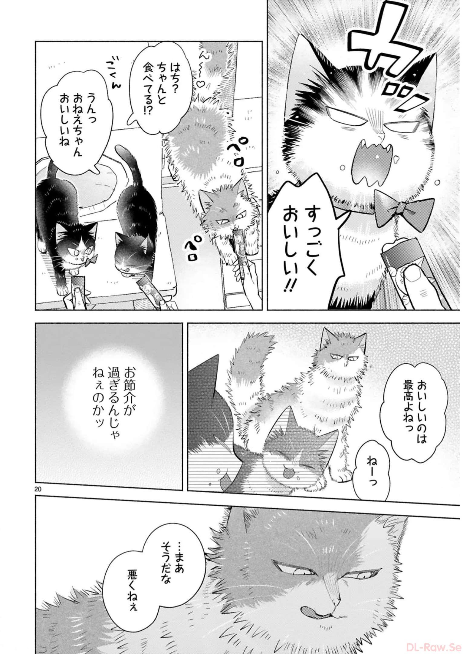 P40