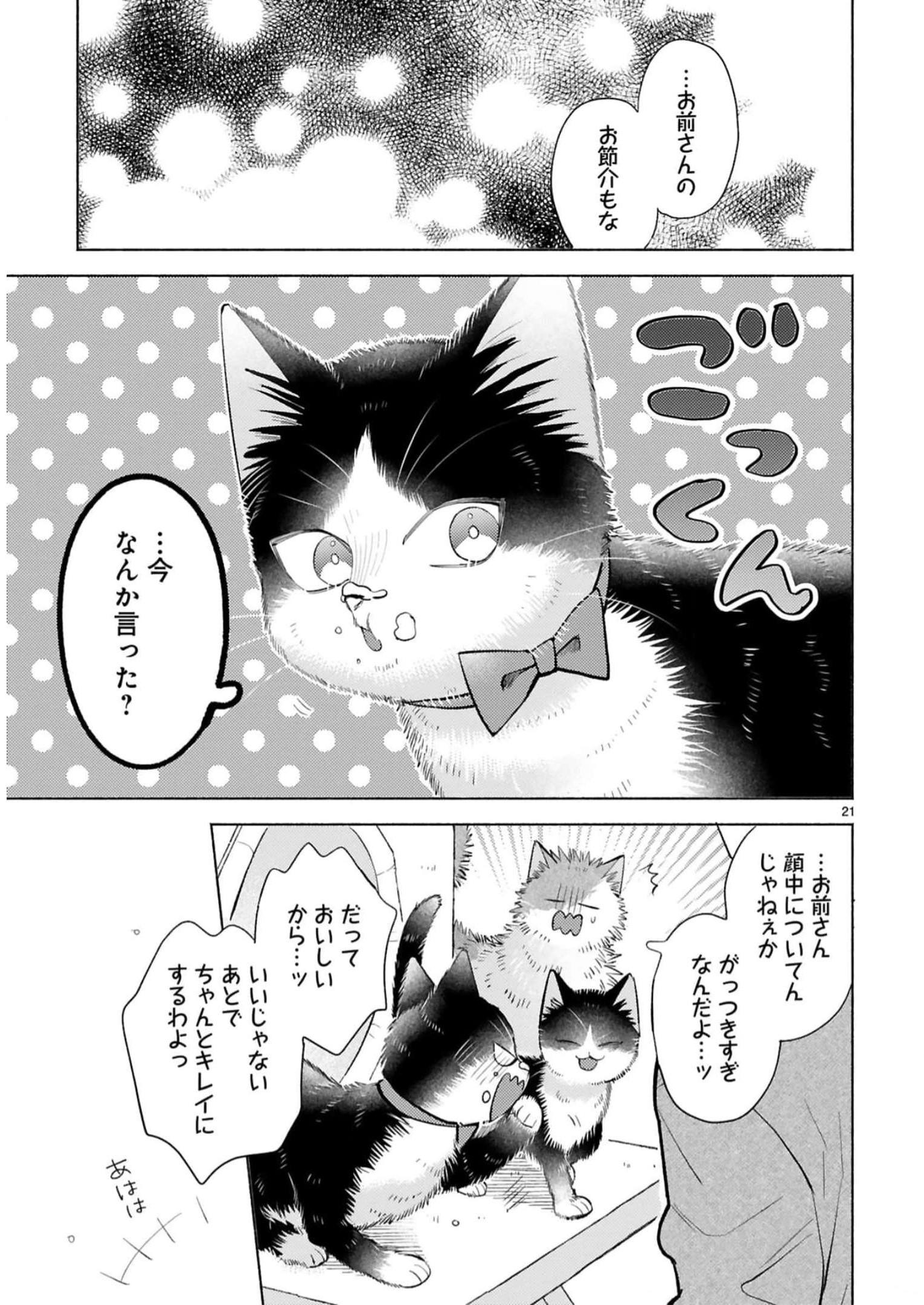 P41
