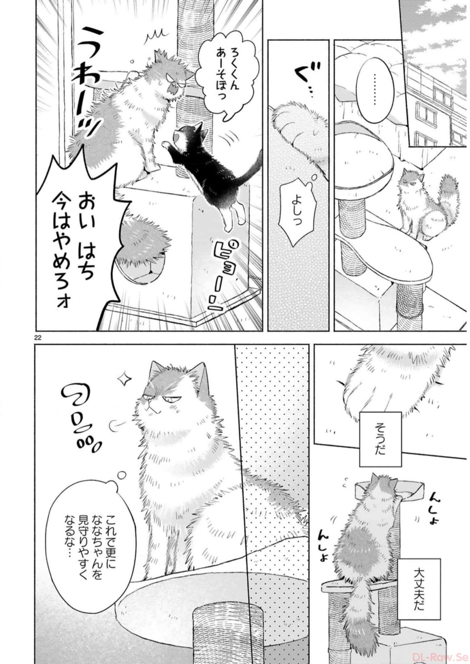 P42