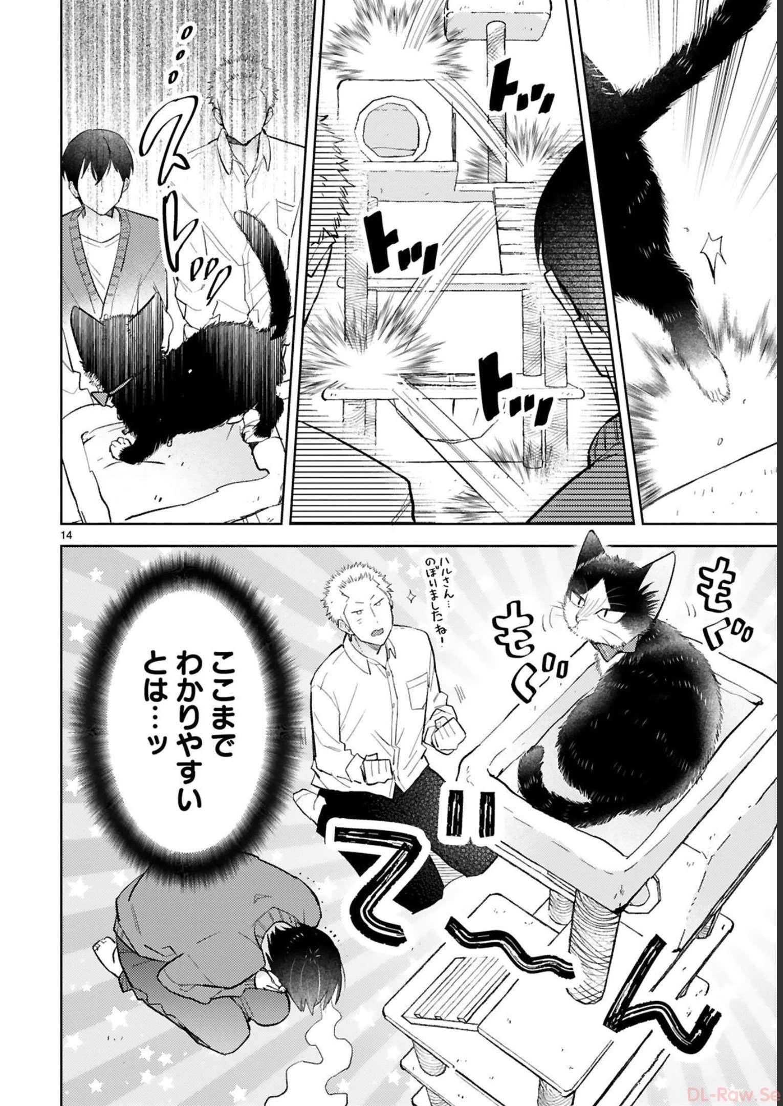 P14