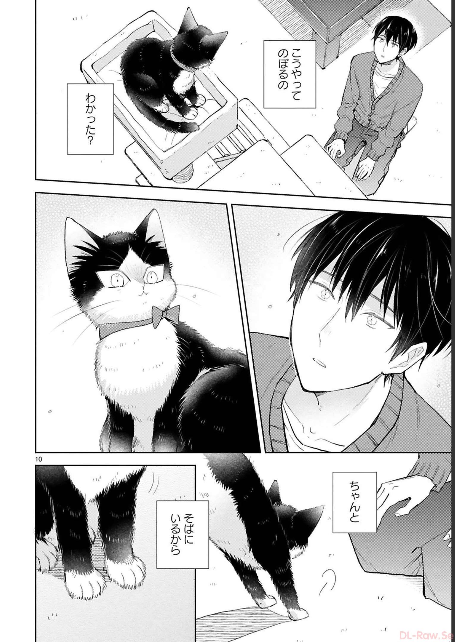 P29