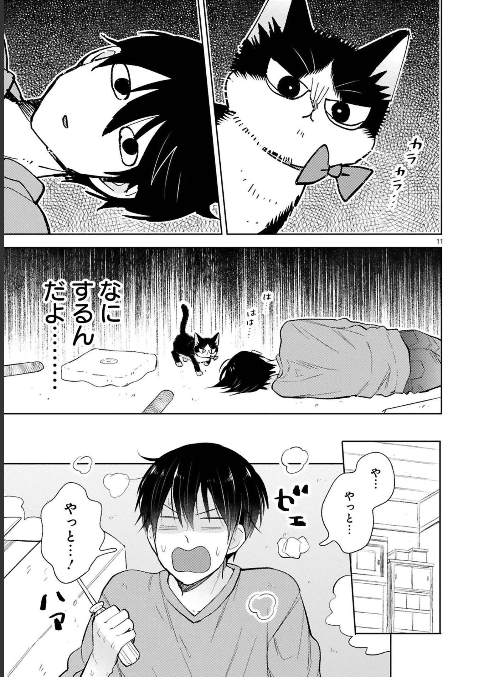 P11