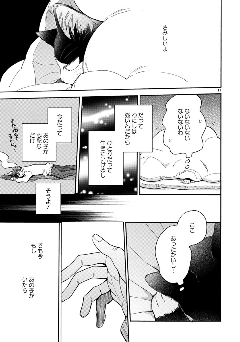 P11