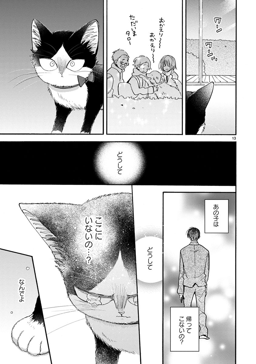 P13