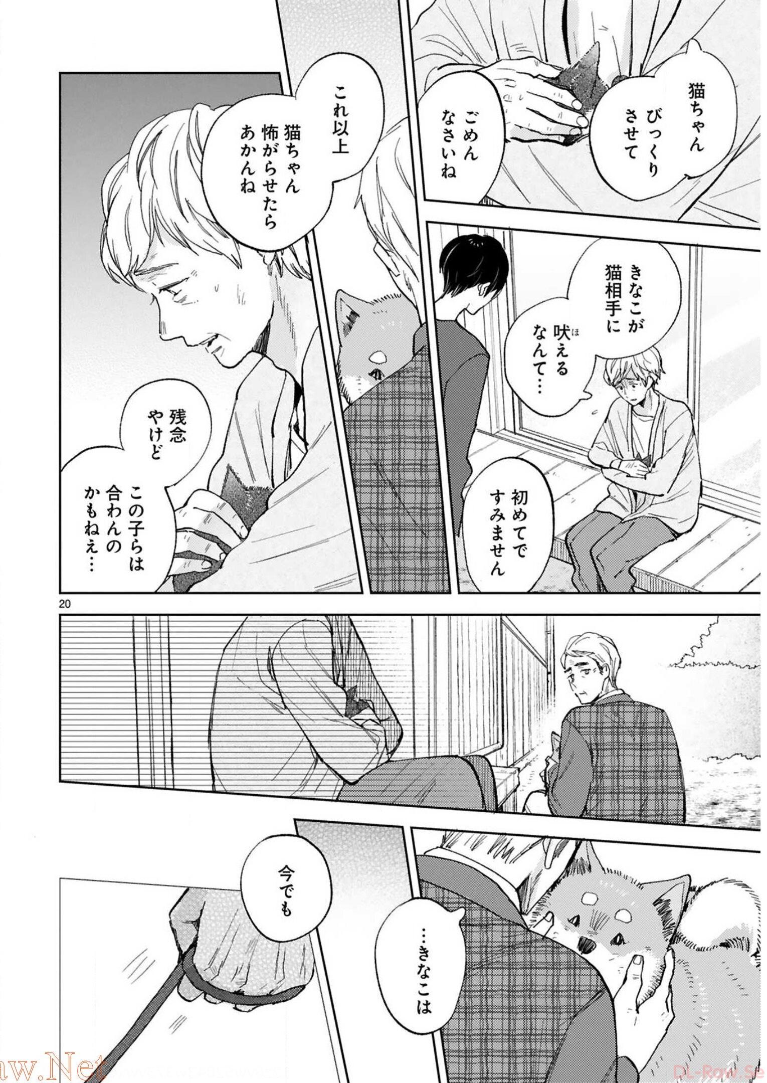 P20