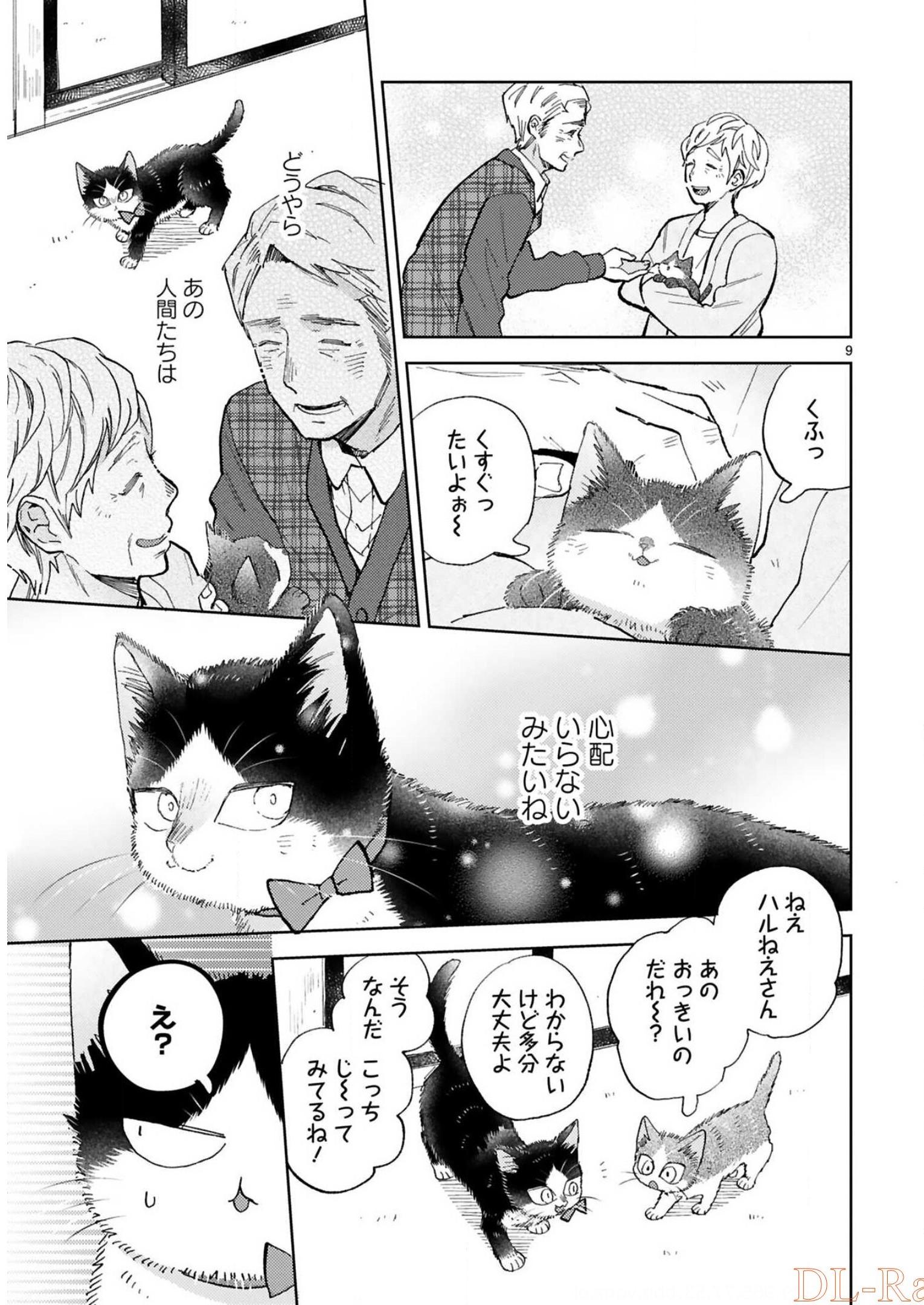 P53