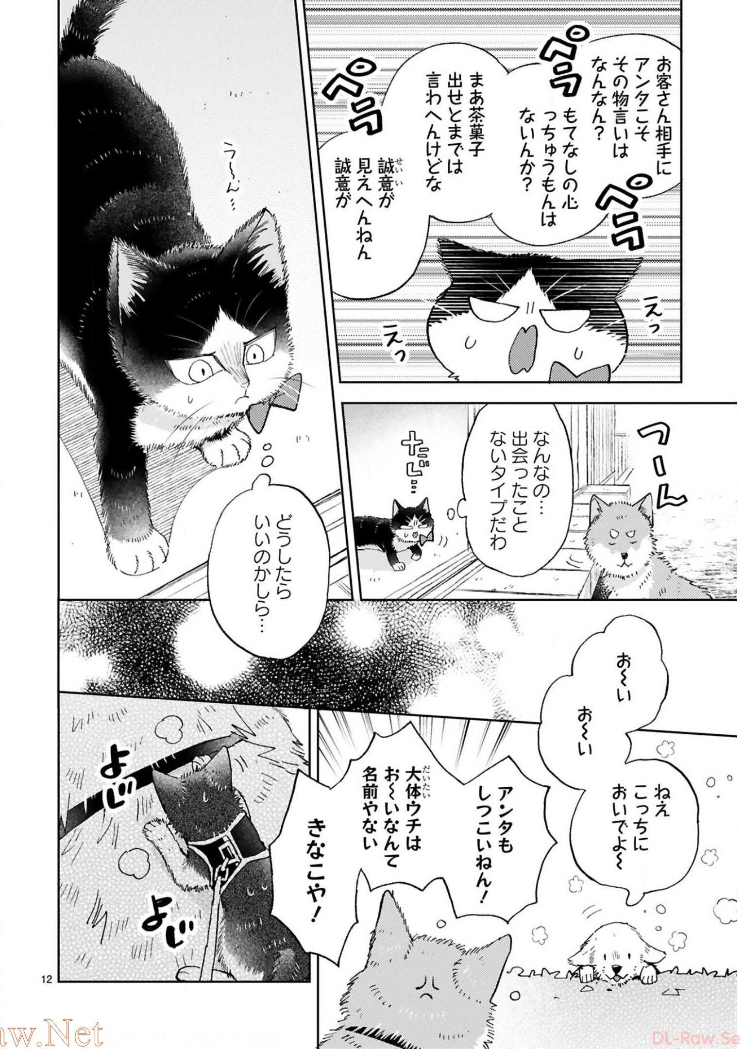 P56