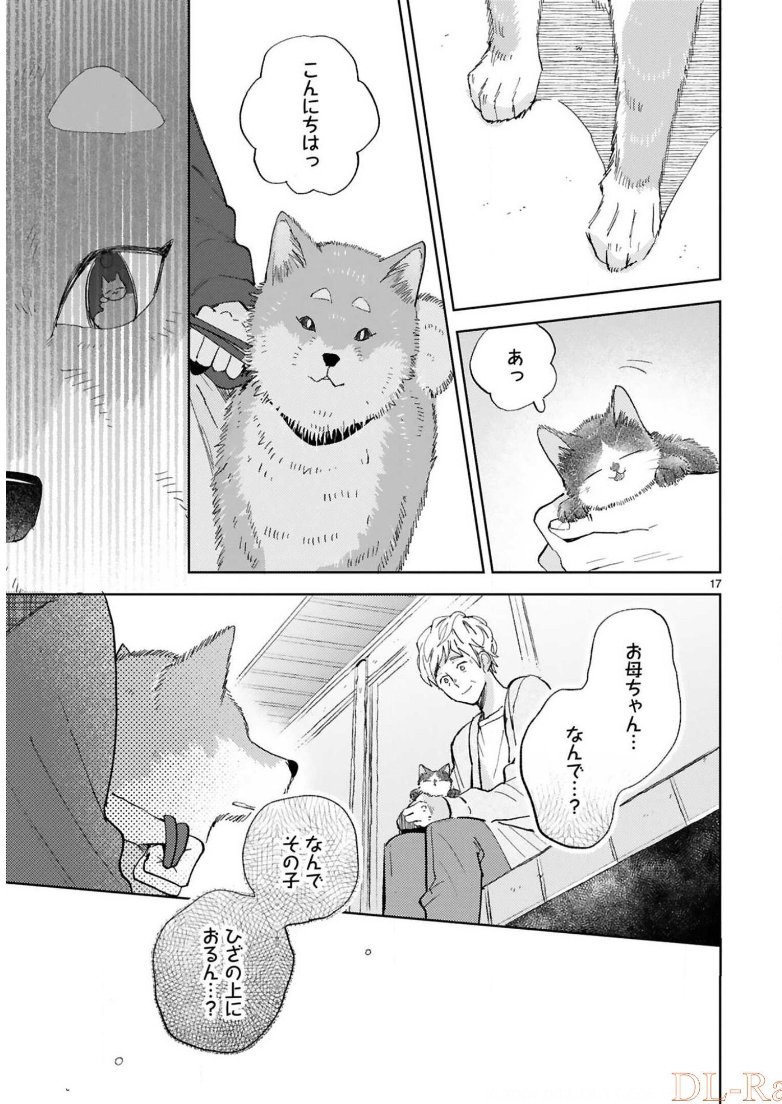 P61