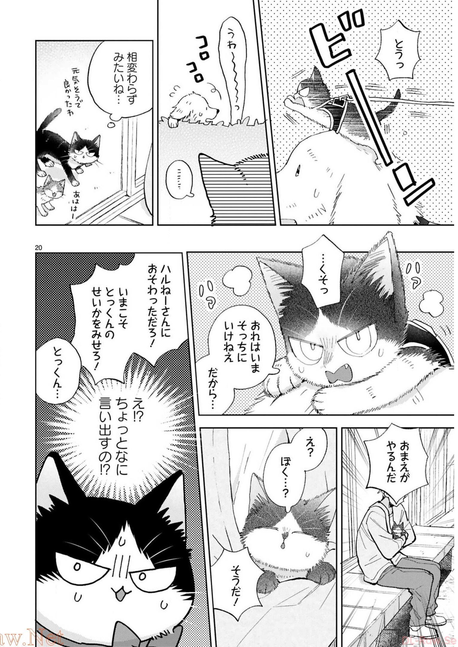 P64