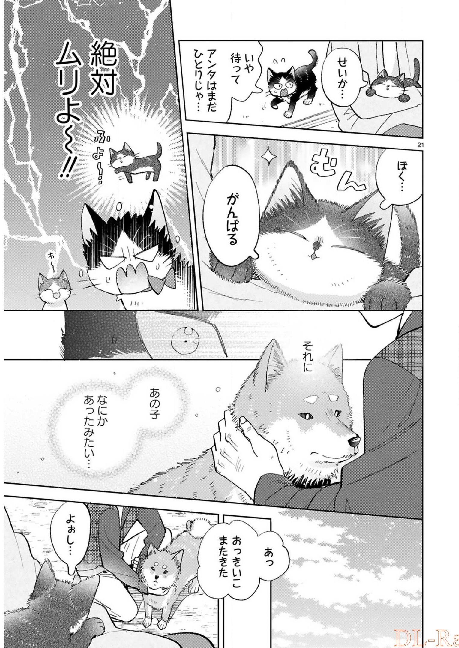 P65