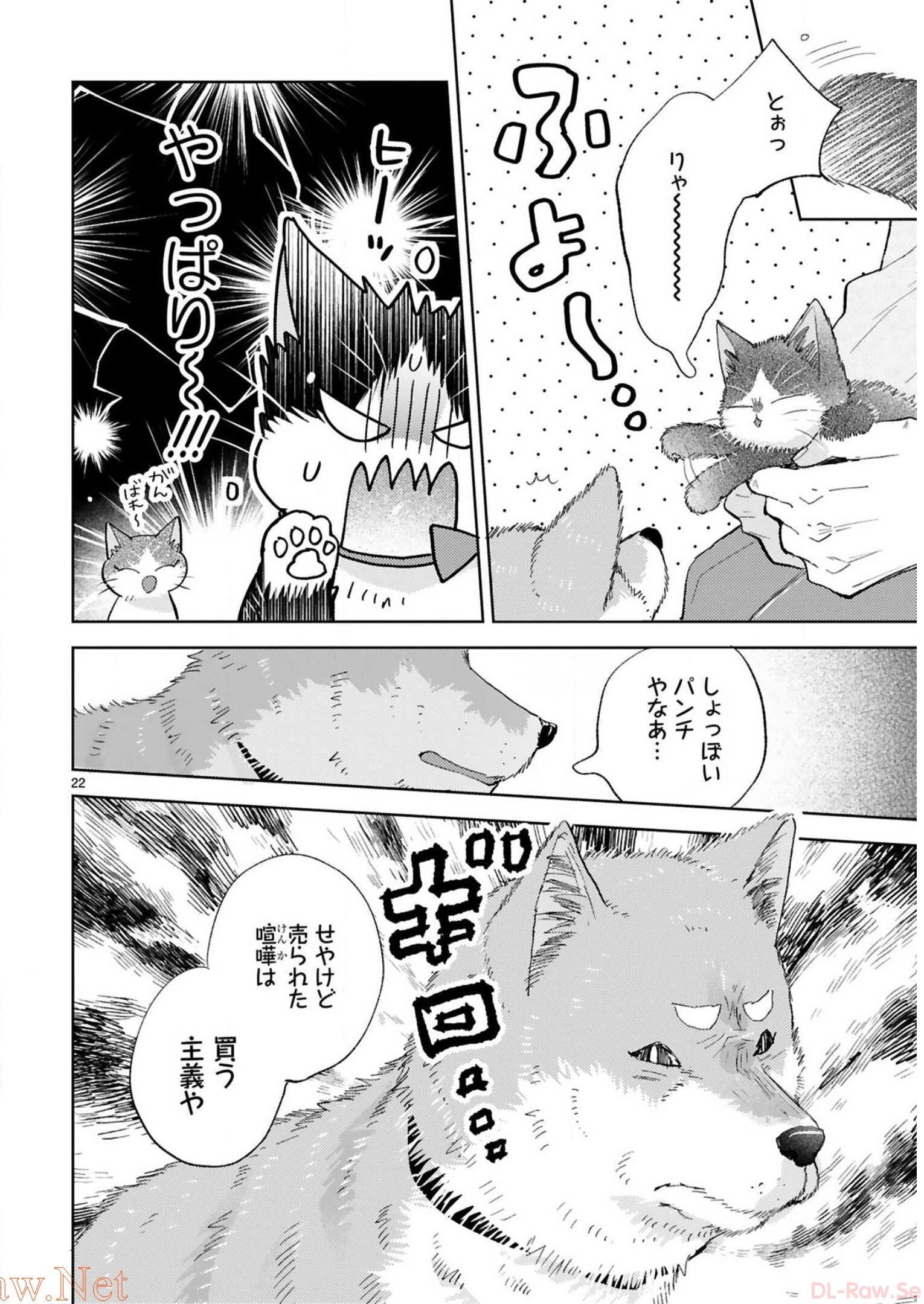 P66