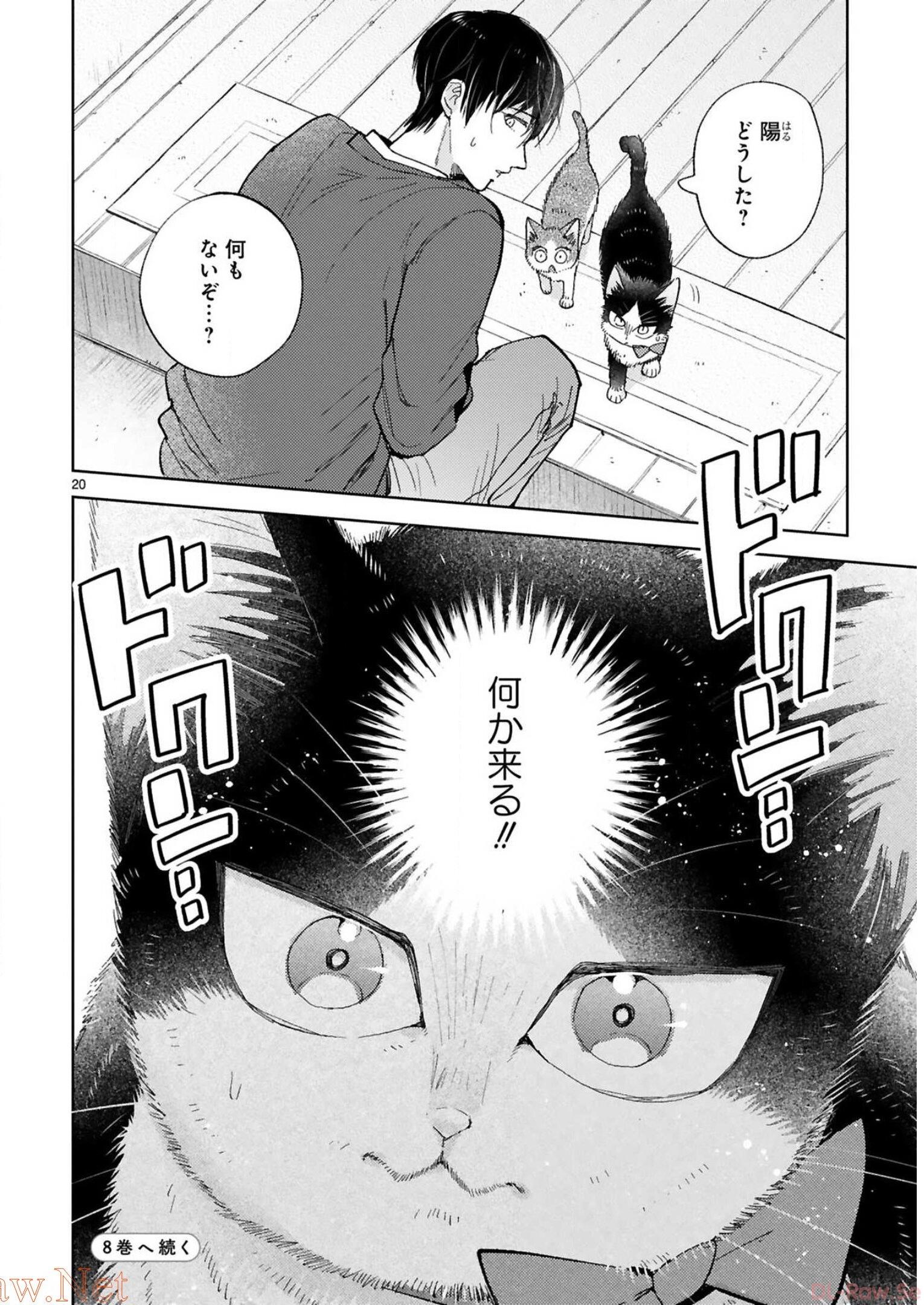 P87