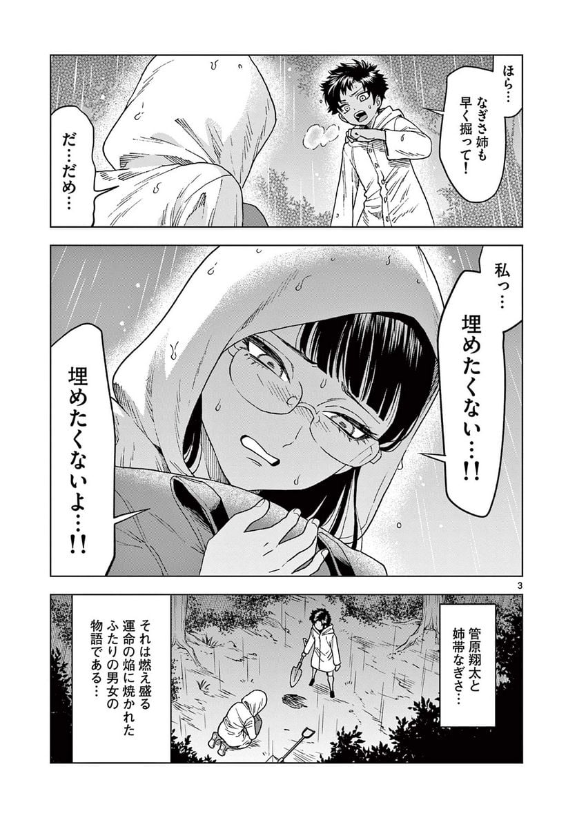 P3