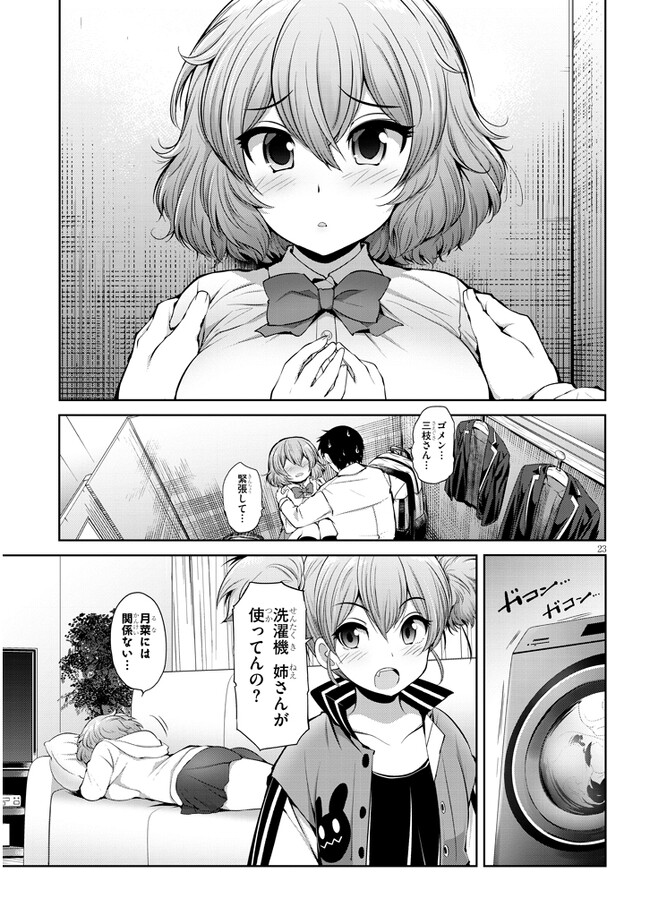 P23