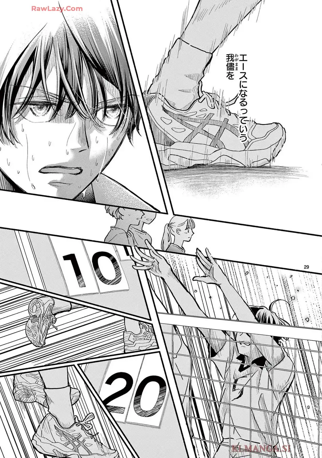 P29
