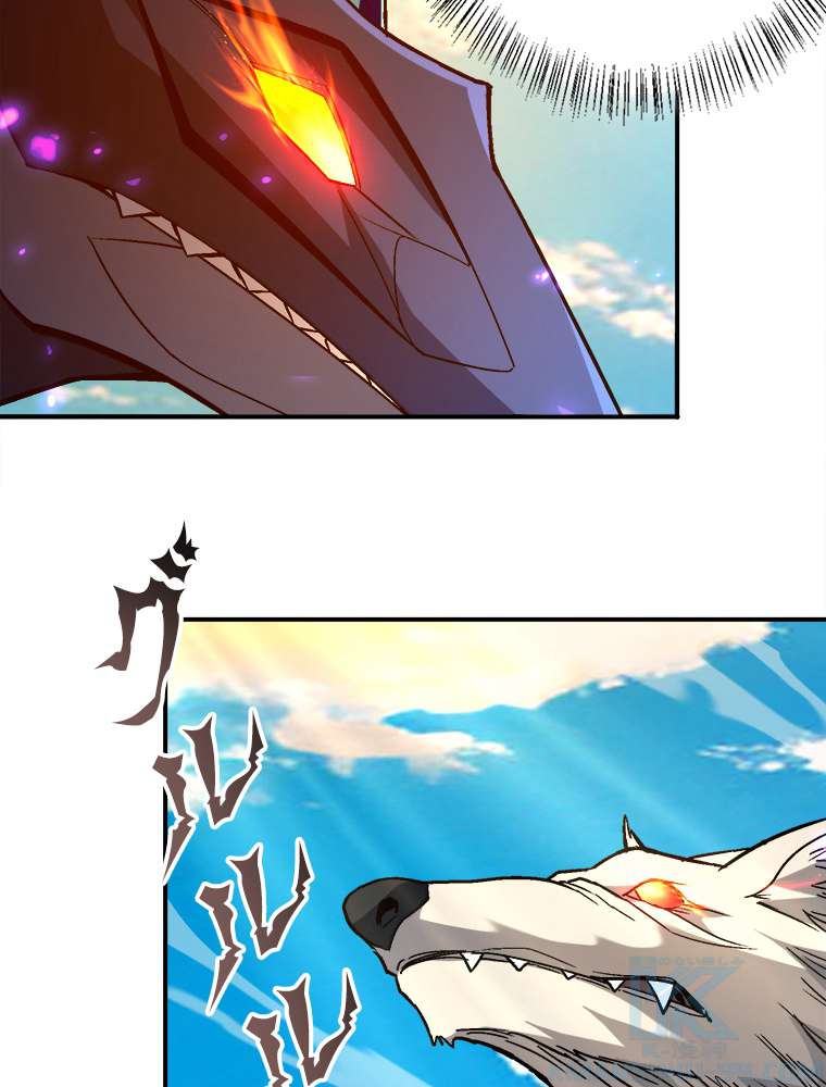 P58