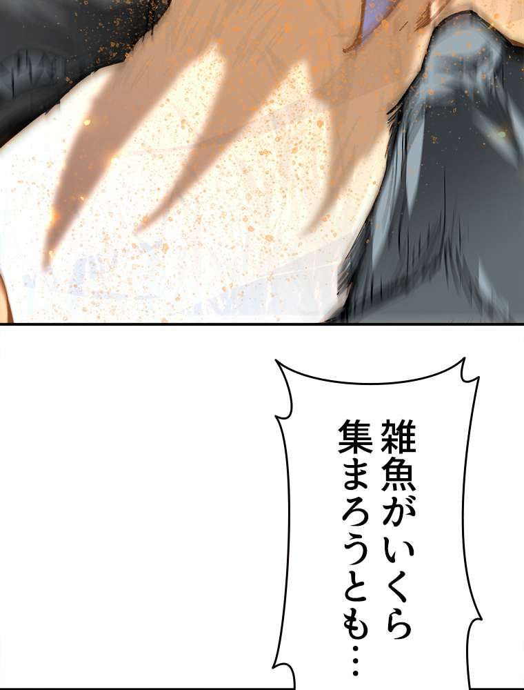 P63