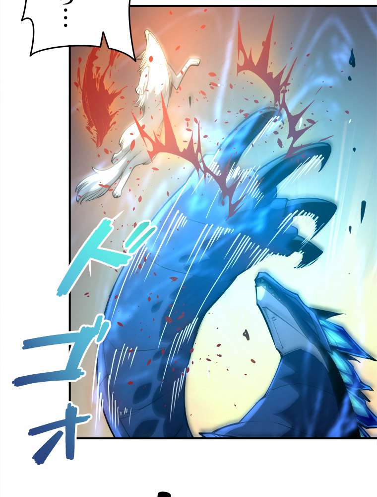 P78