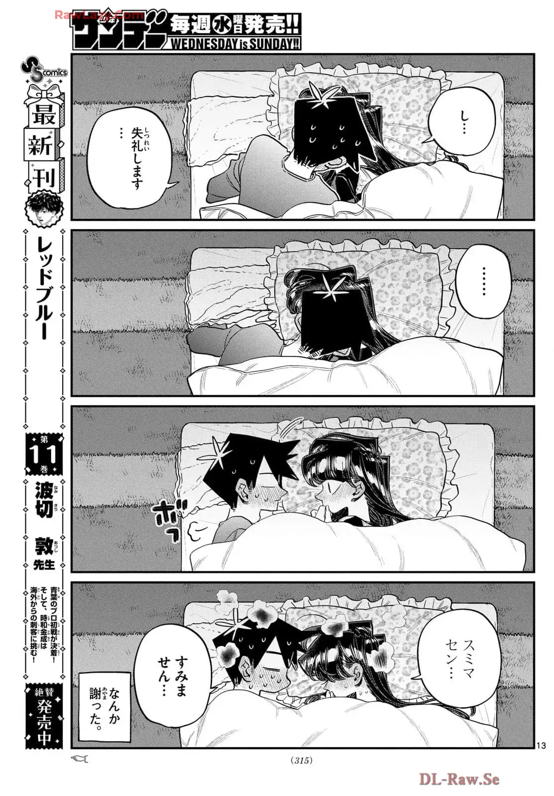 P13