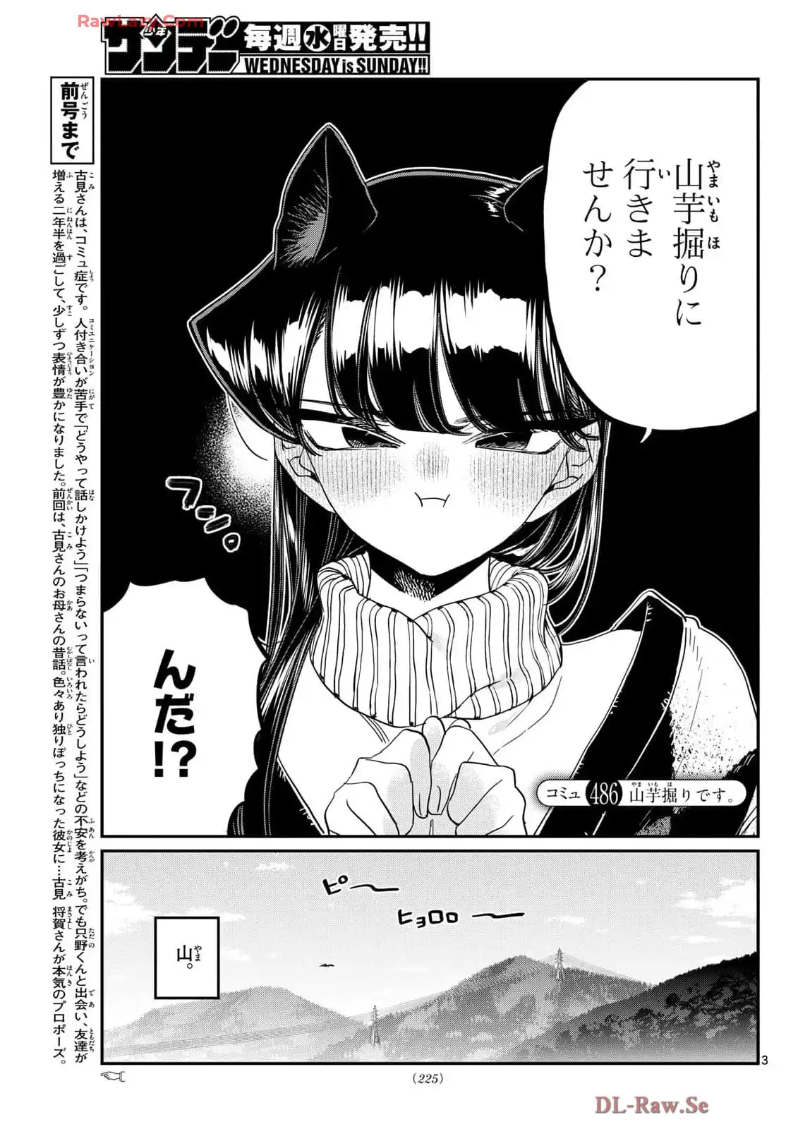P3