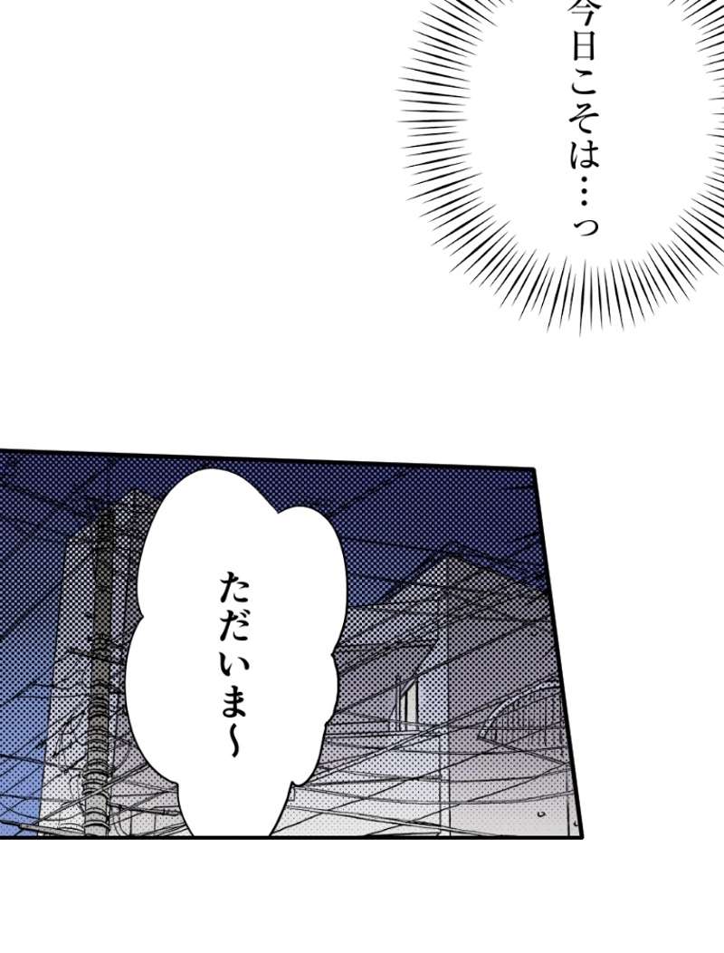 P58