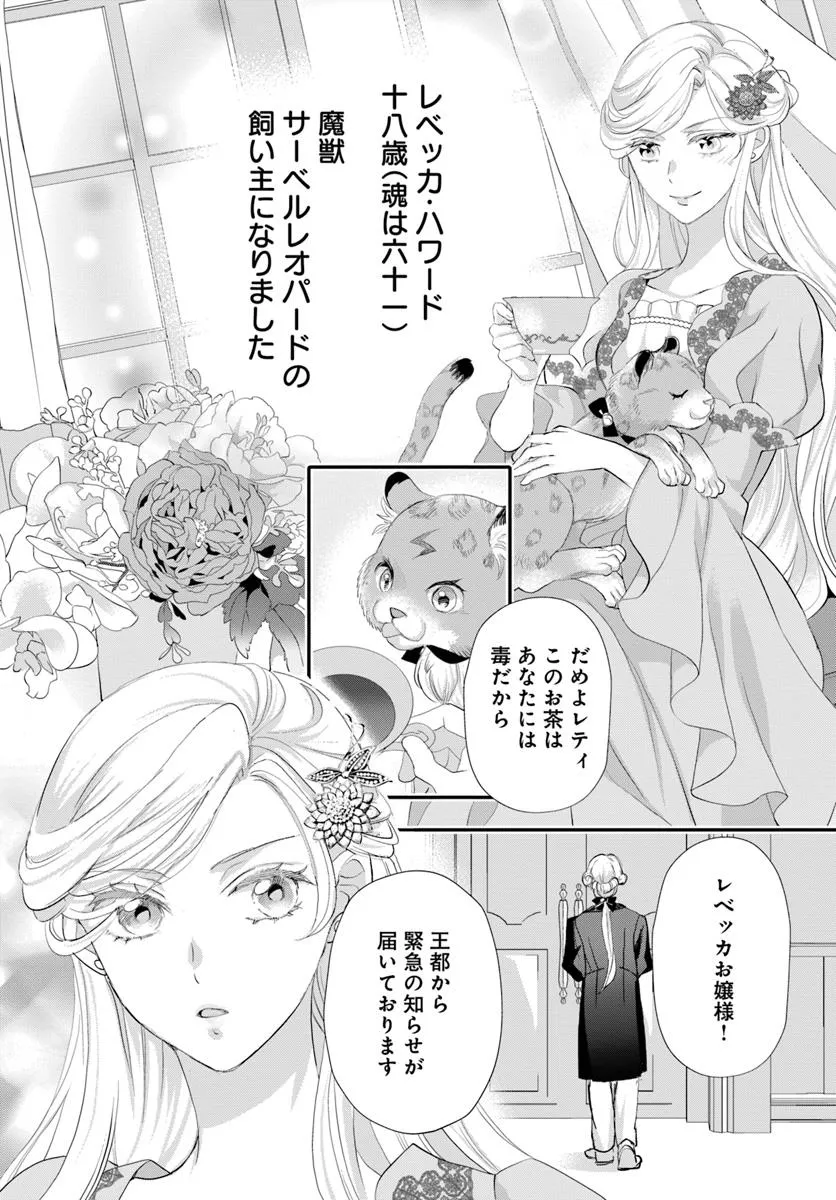P6