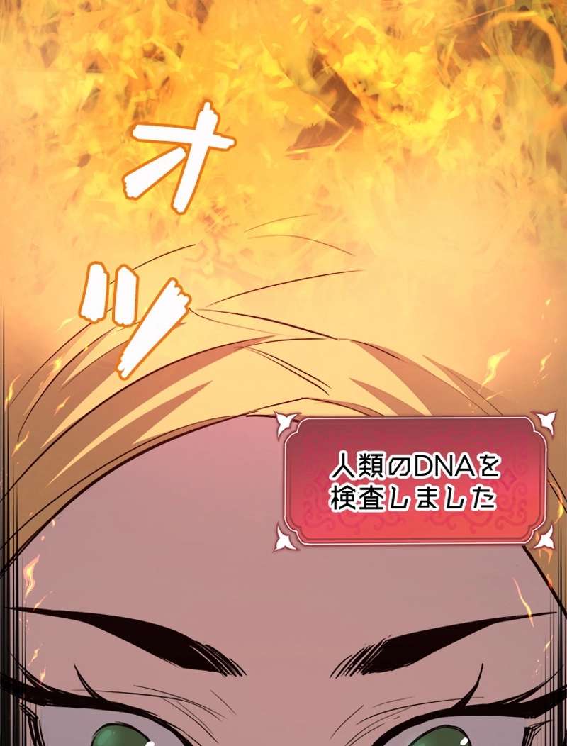P66