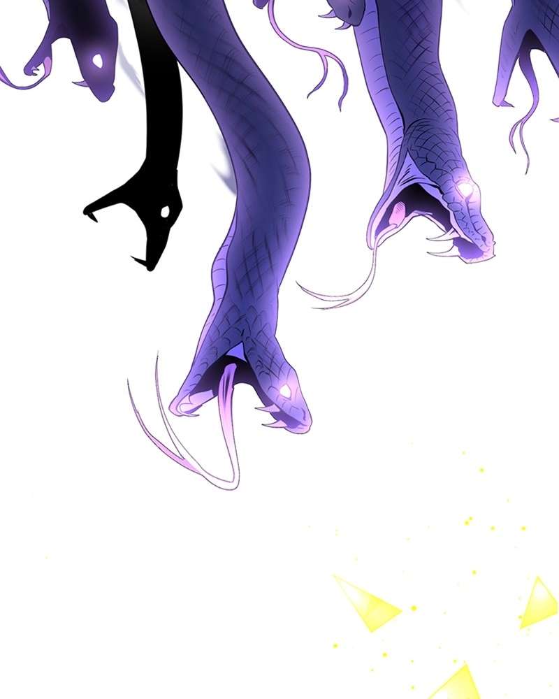 P117