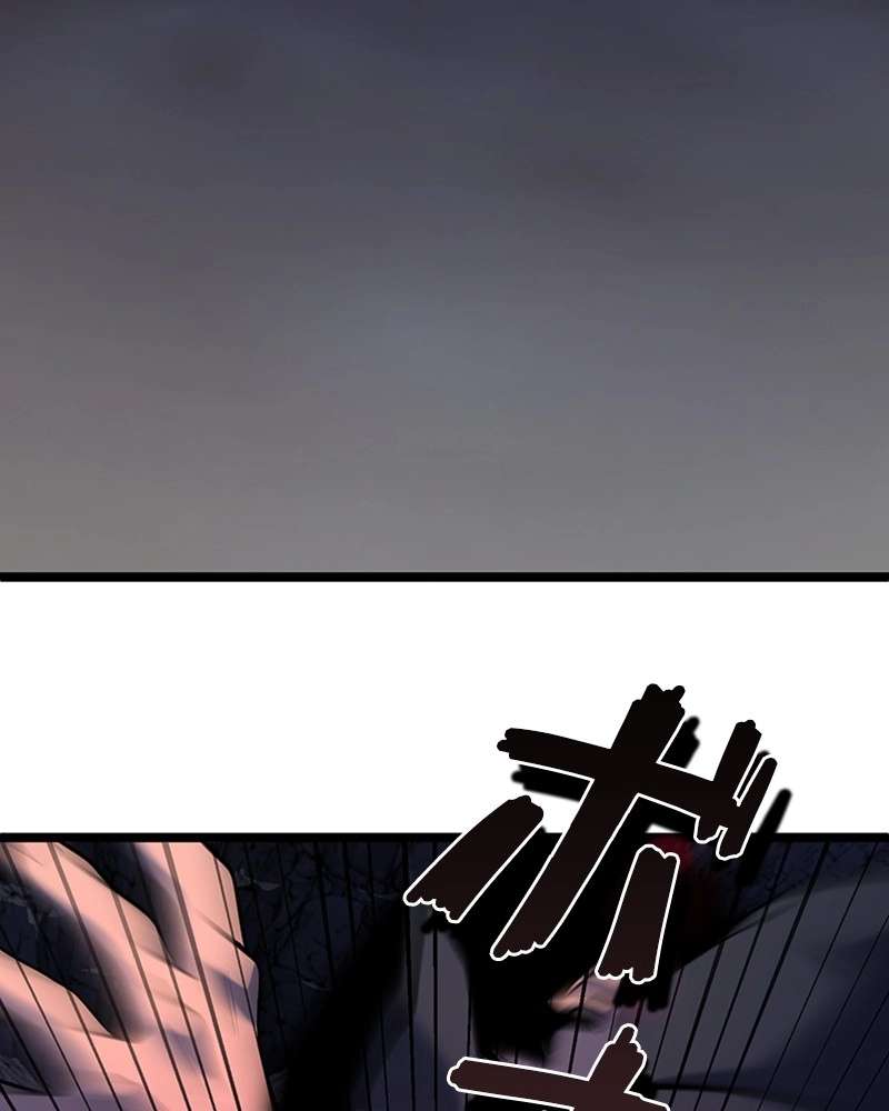 P41