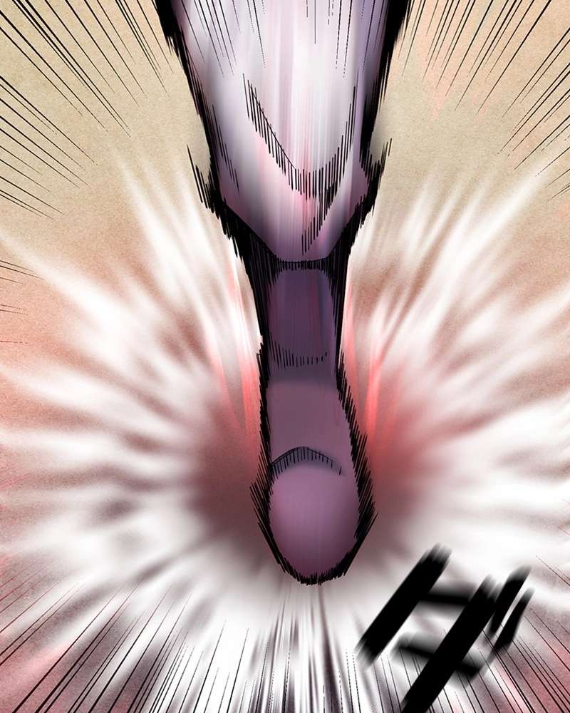 P66